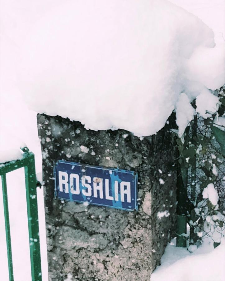 Villa Rosalia Villanua Bagian luar foto